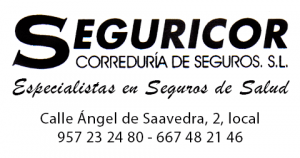 Seguricor obra nueva en córdoba