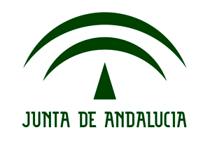 vivienda de obra nueva cordoba junta andalucia