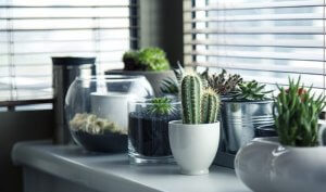 tendencias decoración 2019 obra nueva en cordoba
