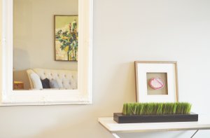 Feng Shui -Obra nueva en Córdoba