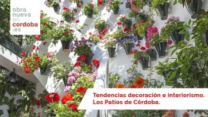 Los Patios de Córdoba - obranuevaencordoba
