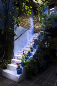 Los Patios de Córdoba - Obra Nueva en Córdoba