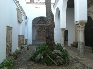 Hospital del Cardenal Salazar - Obra Nueva en Córdoba