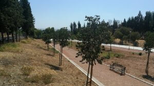 Huerta Saldaña - obra nueva en cordoba