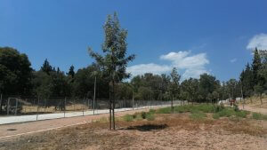 Huerta Saldaña - obra nueva en cordoba