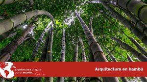 Arquitectura en bambú. Arquitectura singular por el mundo - obra nueva en Córdoba