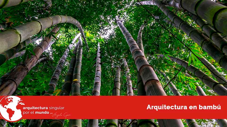 Arquitectura en bambú. Arquitectura singular por el mundo - obra nueva en Córdoba