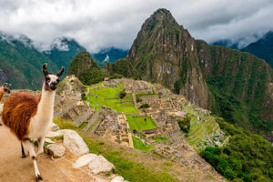 machu picchu jardines con historia