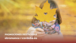 obra nueva en cordoba promociones destacadas