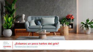 gris decoracion - obranuevaencordoba