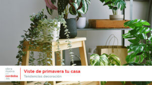 primavera - obranuevaencordoba