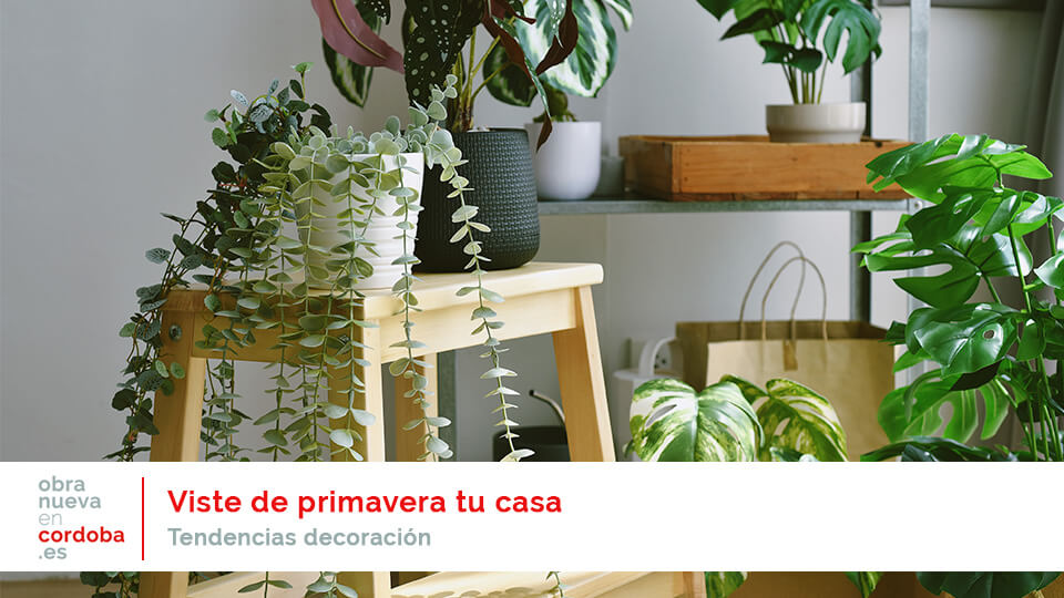primavera - obranuevaencordoba