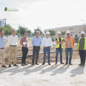 calatea -