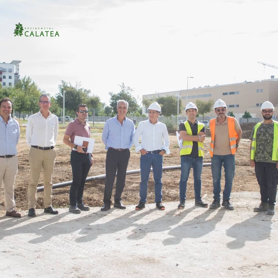 calatea - obranuevaencordoba